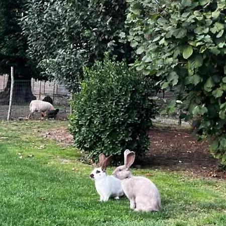D'hotes Raffinees Avec Piscine A La Fleche, Proche Zoo Et Prytanee National - Fr-1-410-417 Bed & Breakfast La Fleche